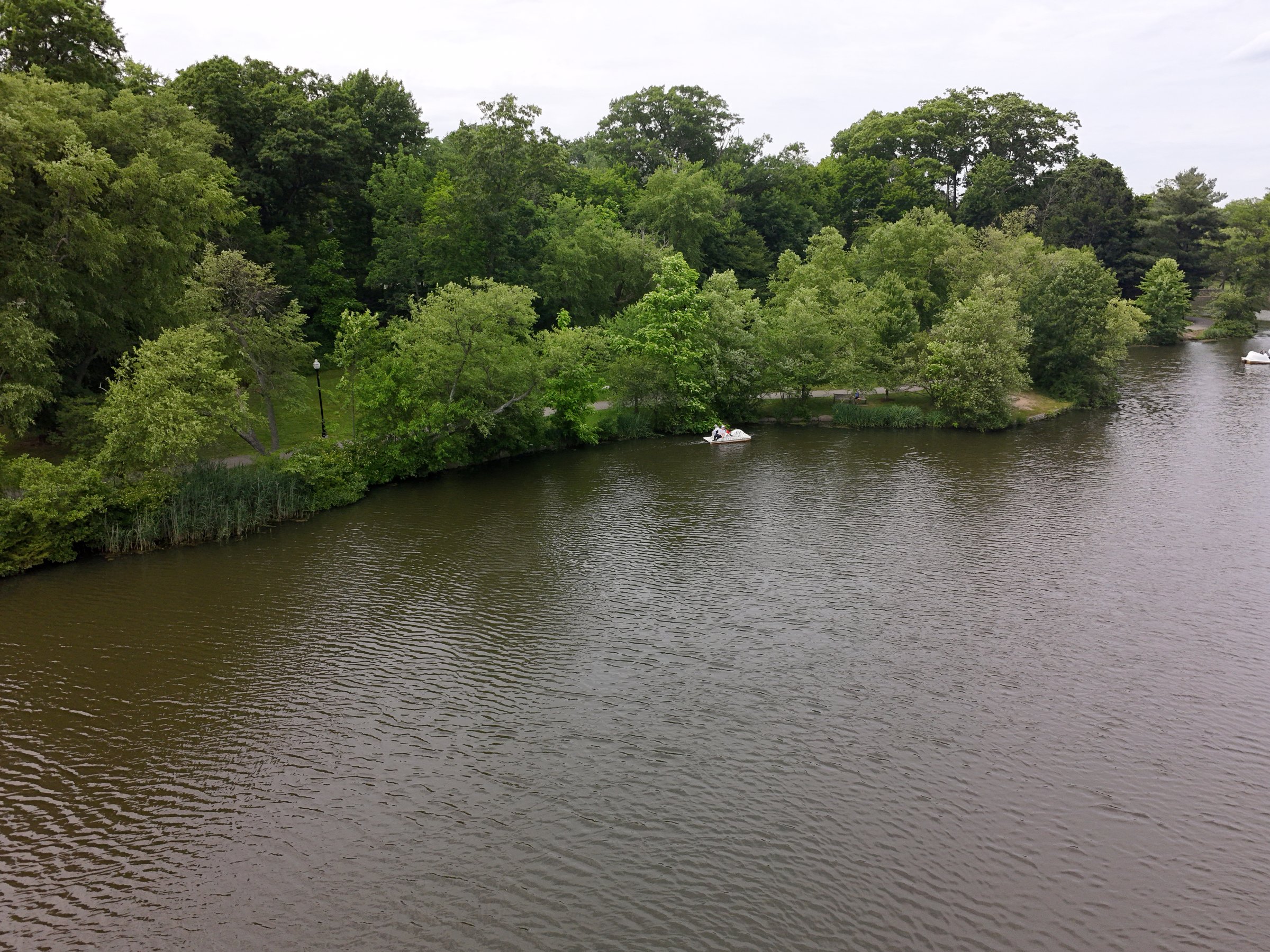 CAM_20260614141650_0067_W