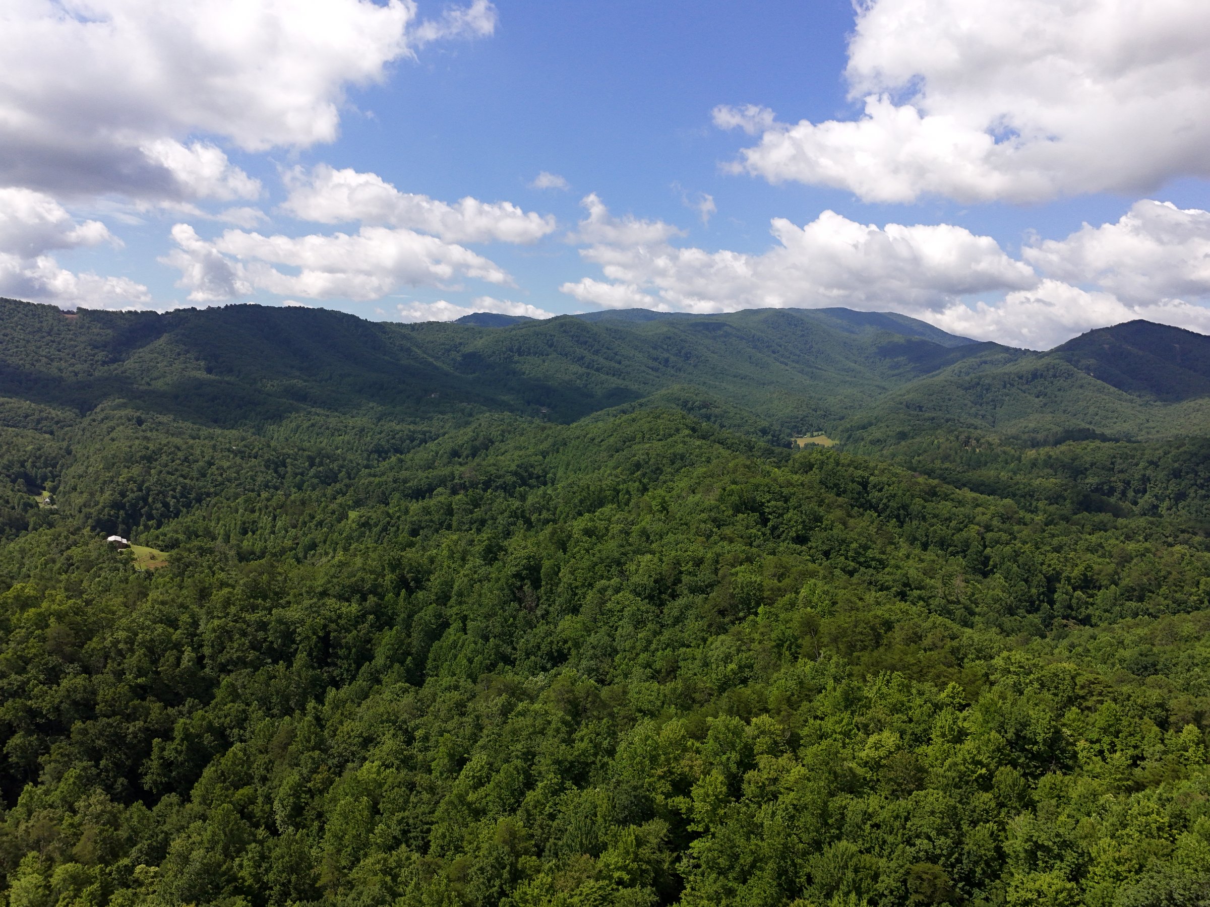 CAM_20260619105502_0015_W